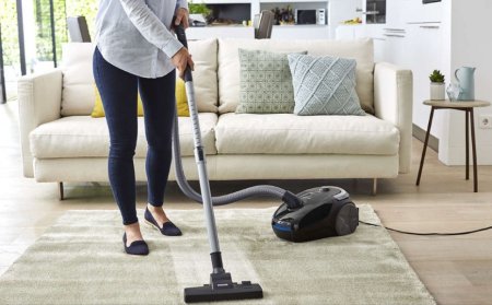 Пылесос Philips fc8295 POWERGO