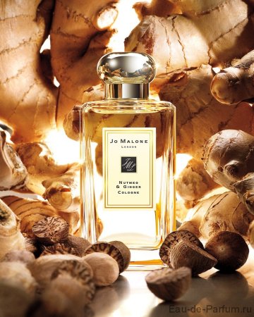 Парфюм Jo Malone Nutmeg & Ginger