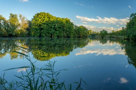 Открытые водоемы