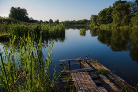 Чистые пруды Суроватиха утро