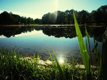 Красивые водоемы