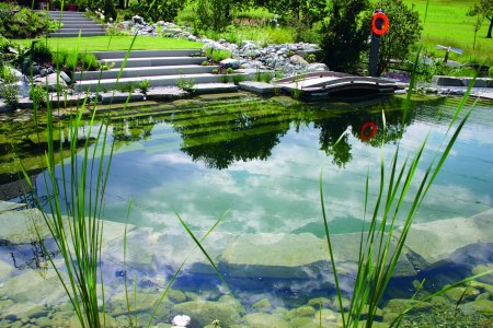 Водные растения для биоплато
