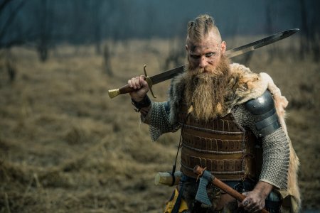 Скандинавия Викинги воин