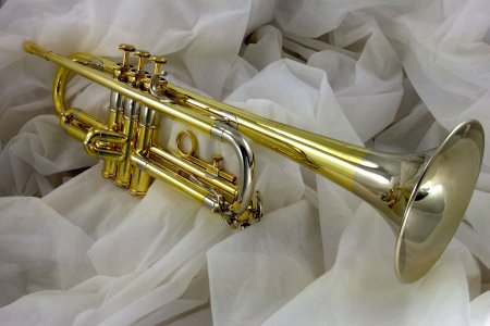 Труба духовой музыкальный инструмент