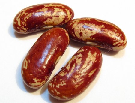 Плод фасоли