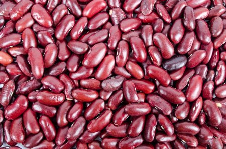 Фасоль сорт Red Kidney