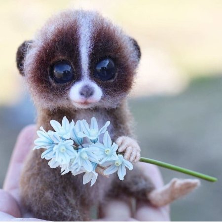 Лимур Лори голубоглазы