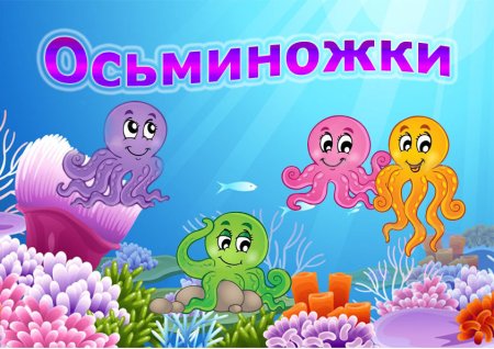 Отряд Осьминожки