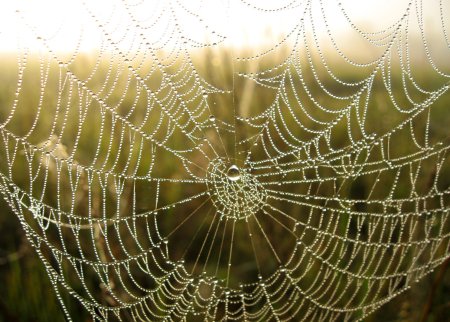 Красивая паутина