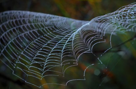 Красивая паутинка