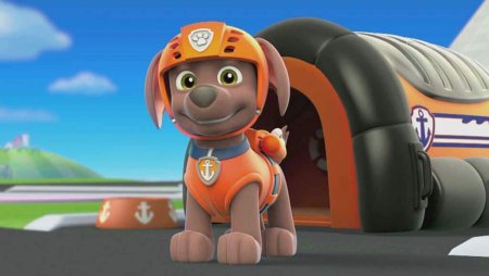 Щенок Зума Щенячий патруль