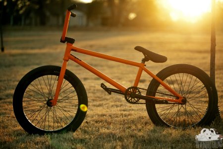 Красивые BMX