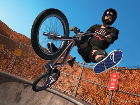 Matt Hoffman BMX