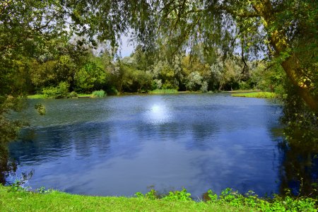 Открытые водоемы