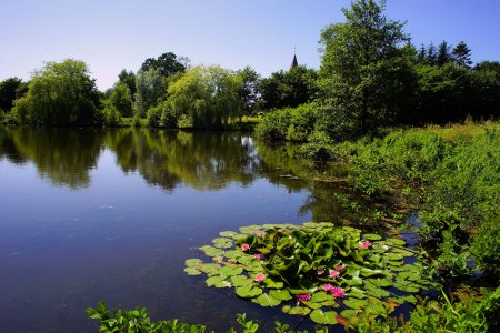 Открытые водоемы