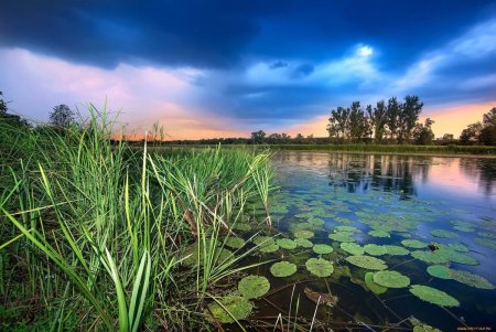 Водоем картинка