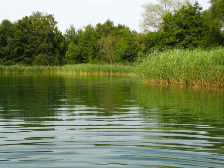 Озера реки пруды водоемы
