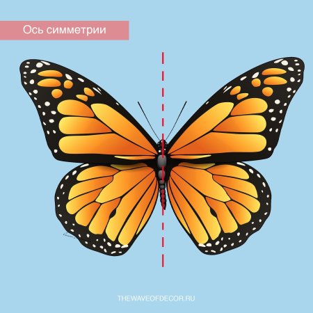 Осевая симметрия