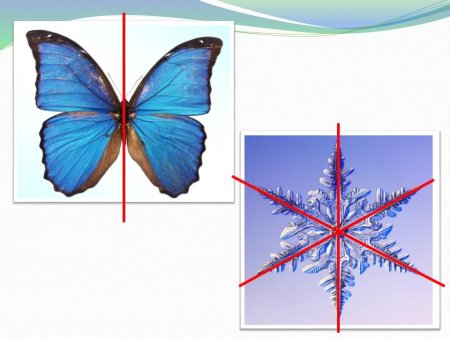 Двулучевая симметрия