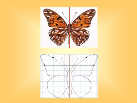 Симметрия рисунок