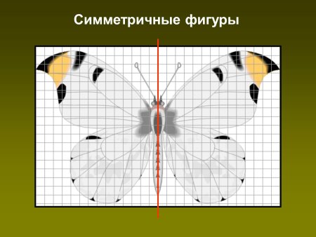 Симметричные фигугуры