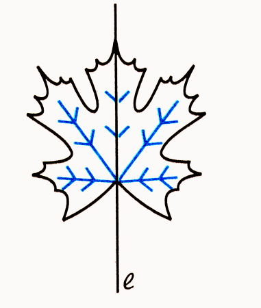 Симметричные фигуры