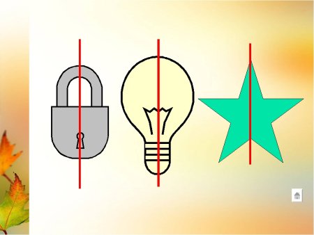 Симметричные предметы в природе