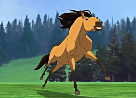 Спирит душа прерий