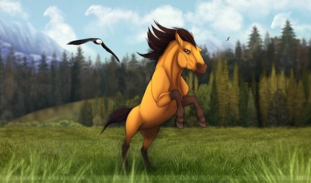 Спирит душа прерий 7