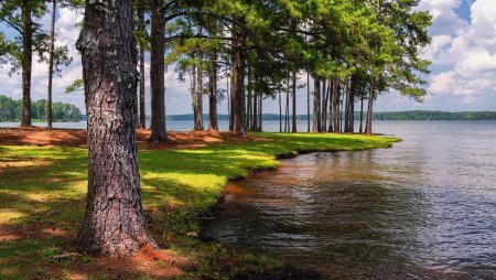 Сосновый Бор Карелия