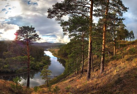 Неман Беларусь река сосны осень