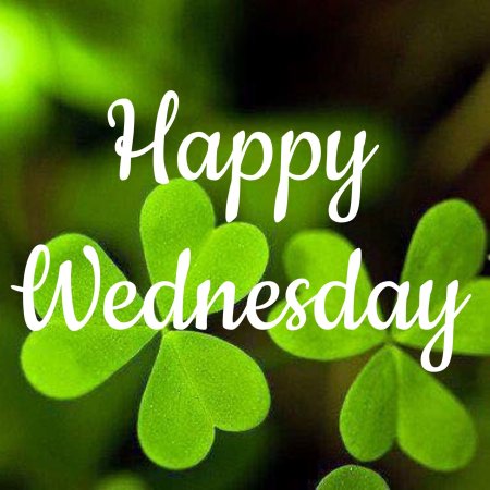 Good morning Happy Wednesday