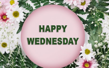 Happy Wednesday