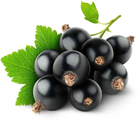 Black Currant черная смородина