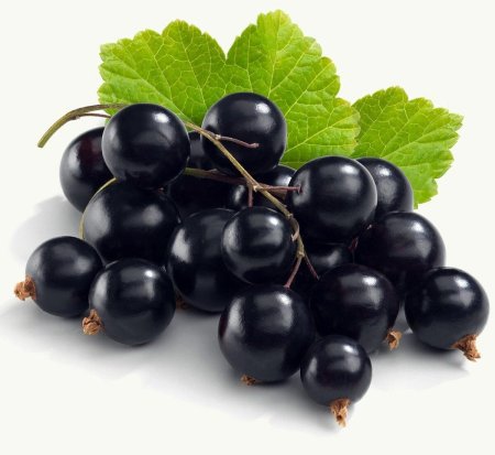 Blackcurrant черная смородина