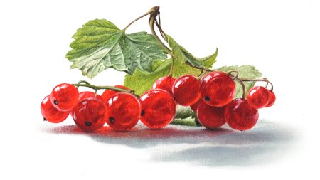Гелена Лисовская картины
