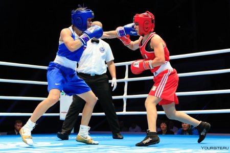 Бой бокс Чемпионат мира 2009 г