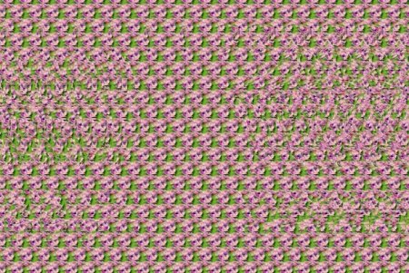 Стереокартинки ребусы