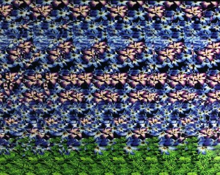 Стереокартинки ева