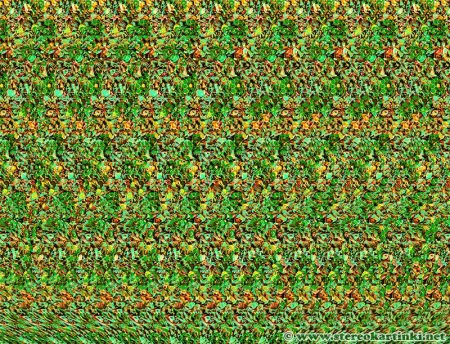 Стереокартинки для глаз для улучшения зрения