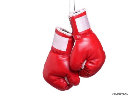 Frager перчатки боксерские