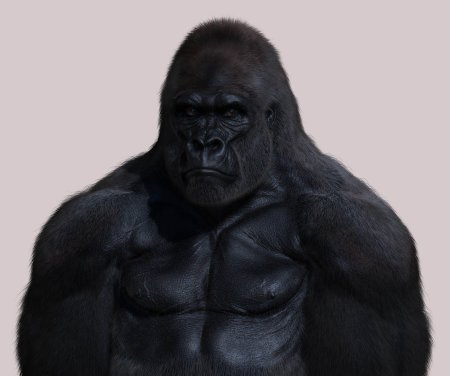 Silver Black Gorilla