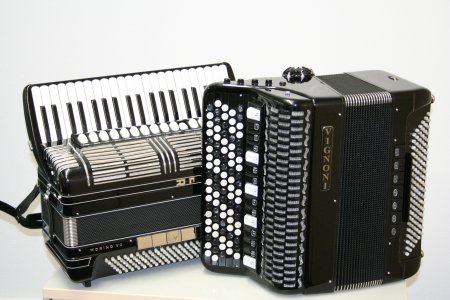 Баян аккордеон гармонь