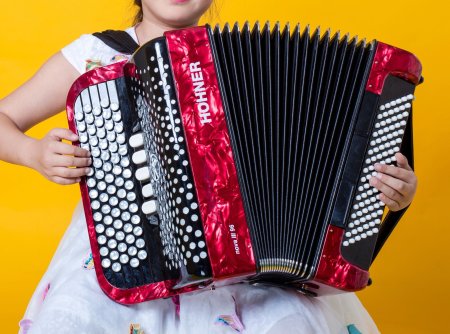 Аккордеон Hohner старый