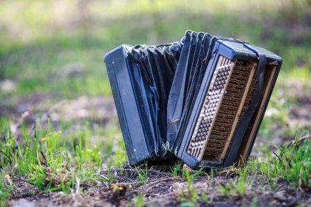 Акустика Одесская гармонь