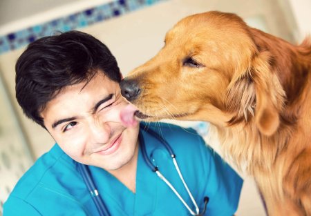 Профессия ветеринар