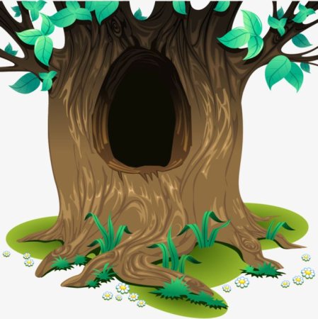 Дерево с дуплом на прозрачном фоне