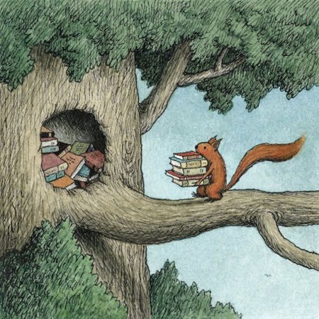 Франко Маттичино белка