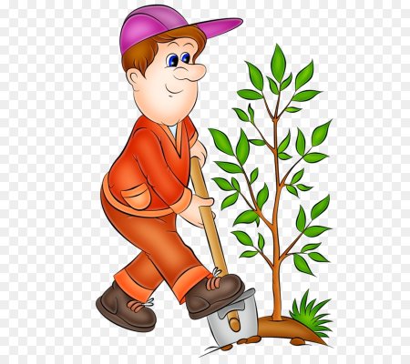 Садовник для детей