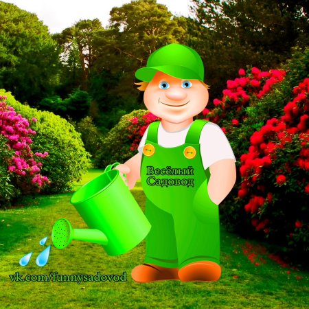 Реклама садовника